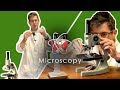 How to Use a Microscope