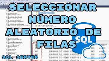 Programar SQL Server - Cómo seleccionar un número aleatorio de filas