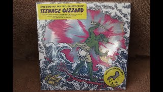 King Gizzard and The Lizard Wizard, Teenage Gizzard