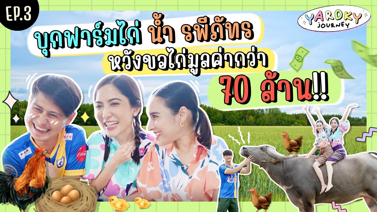 บุกฟาร์มไก่ 