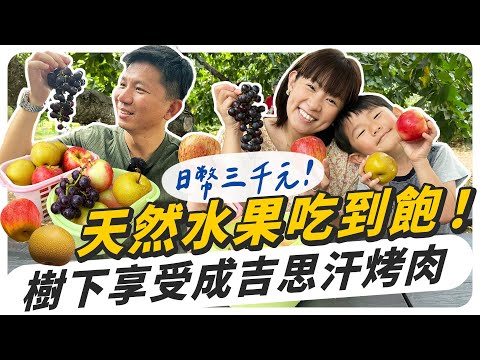 【北海道余市】日幣三千樹下成吉思汗烤肉，天然水果現採現吃！