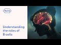 Multiple sclerosis | Understanding the roles of B cells