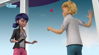 İen Mucize Uğur Böceği Ile Kara Kedi The Marinnete