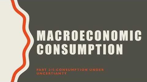 Macroeconomic Consumption 2/5: Consumption Under Uncertianty