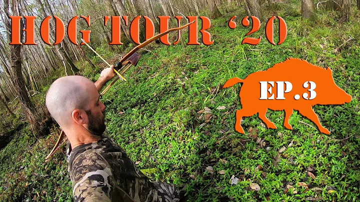 BIG BOAR! Recurve Bow Hunting Public Land HOG TOUR '20 Ep.3