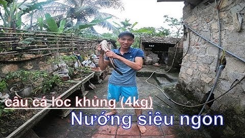 Cường Râu || Bắt Cá Chuối Khủng || Nướng Cá Chuối Khổng Lồ Siêu Cay