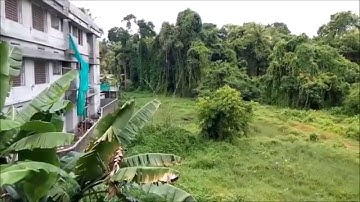 Gionee Elife E7 Mini Camera and Photo Samples