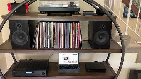 CSS Audio Criton 1-TDX. Forever Audiophile Bookshelf Speakers that are Affordable.