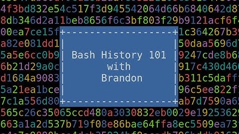 Lessons from LARS: Bash History 101