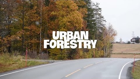 What is Urban Forestry?