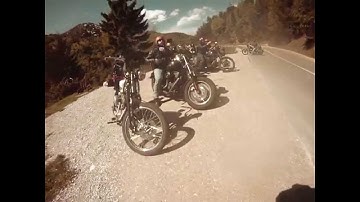 Back To The Roots - Chapter 1