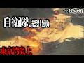 【第十雄洋丸・パシフィックアレス衝突事故】炎上船へ向かった自衛隊【元消防士が解説】