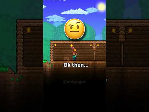 "2D Minecraft".. Seriously? 🤨#terraria #terrariaboss #terrariaplaythrough