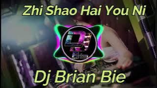 Zhi Shao Hai You Ni 至少還有你 Remix By Dj Brian Bie