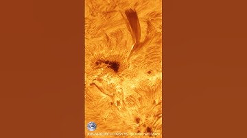 Blazing Solar Flare on the Sun’s Surface! Captured With My Telescope #astronomy #space #solarsystem