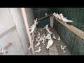 #pigeons В гостях у Лёвы в Юрге ( часть 2 )