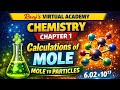 Moles to Particles Made Easy! | Raaj's virtual academy | lecture 04