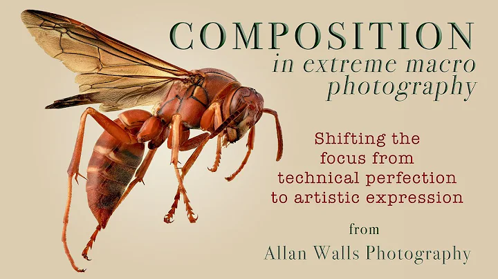 Composition in Extreme Macro Photography