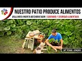 ¡Nuestro PATIO produce ALIMENTOS! - 🍅🌽🧄🥬 Día de cosecha, errores, aciertos y ¡ABUNDANCIA!