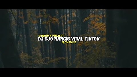 DJ OJO NANGIS SLOW BASS PANTHELO.ID Ft. DJ CEMPLON VIRAL TIKTOK