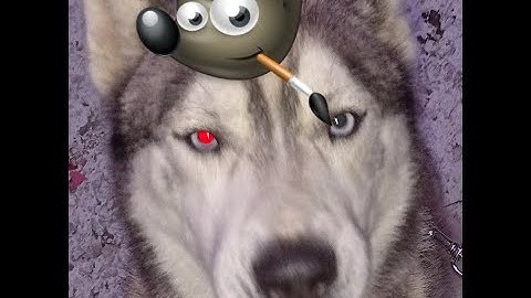 How To: Red Eye Removal with GIMP