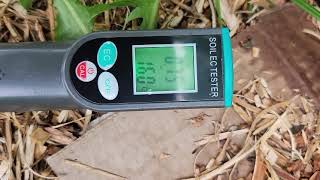 PH and Conductivity on my Pepper plant