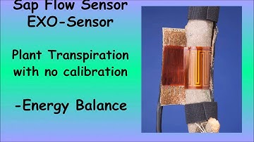 Water Stress Sap flow Dynamax 3 16 16