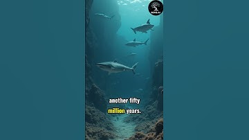 Did You Know: Sharks Existed Before Trees?