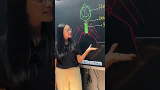 Bacteriophage Structure Explained! 🦠 | ICSE Class 10 Biology #Shorts