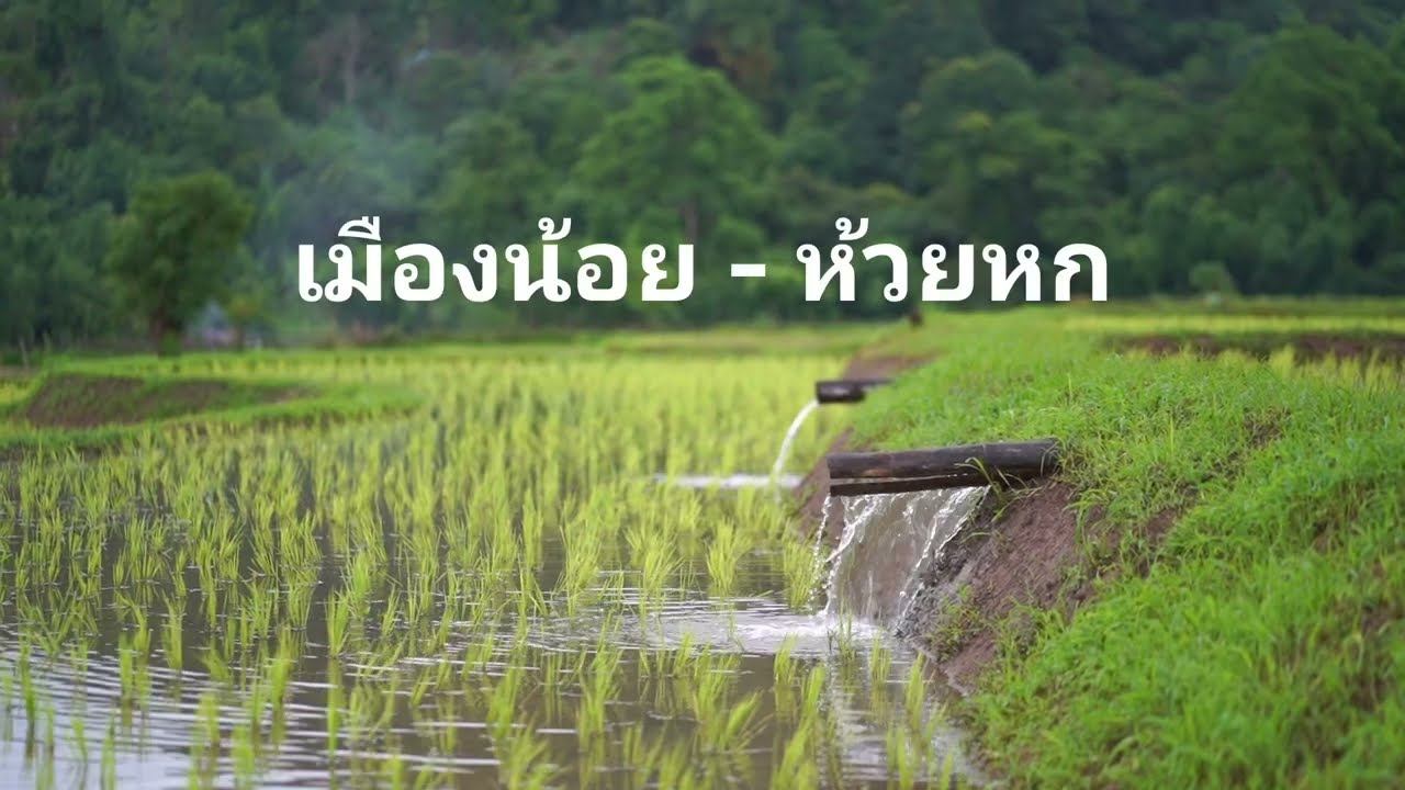 travel x - sid rider