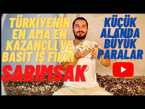 TÜRKİYENİN EN KAZANÇLI İŞ FİKRİ SARIMSAK EKİMİ HAKKINDA BİLGİ / TARIMDA EN KAZANÇLI ÜRÜN