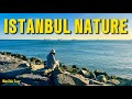 Peaceful Seaside Walking Tour | Istanbul 4K Türkiye 🇹🇷 2026