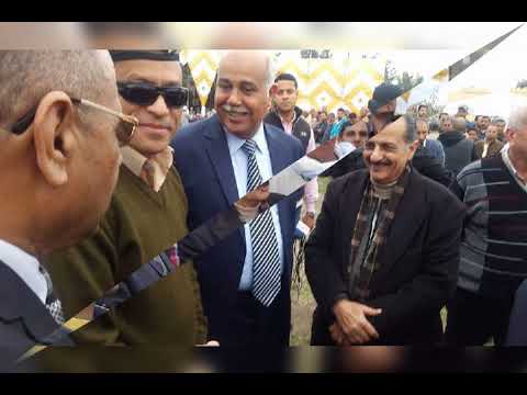 الباشا باشا