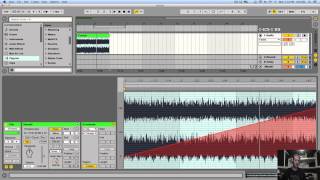 Ableton Live T&T - 1 - Transposition Modulation