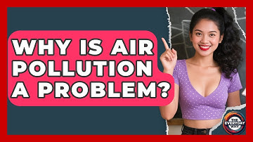 Why Is Air Pollution A Problem? - The Everyday Why