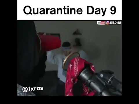 Scooby Dooby Doo Where Are You 