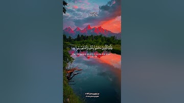 #قرآن #quran #مقطع_قران #shortvideo #اكسبلور #quran_stories #تلاوة_خاشعة #story #صلاة_التراويح