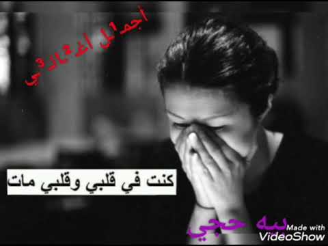 محمد الحلفي وشبل الفرقدين عبدالله المياحي بية حجي