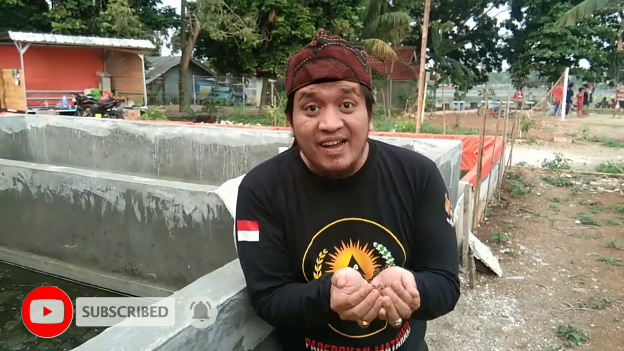 GREBEK KOLAM MURID ABAH NASRUDIN