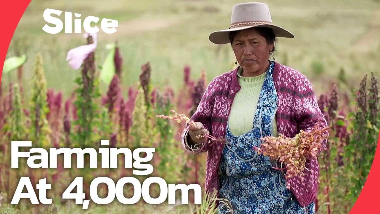 The man reviving 10,000 years of Andean farming | SLICE | FULL DOCUMENTARY
