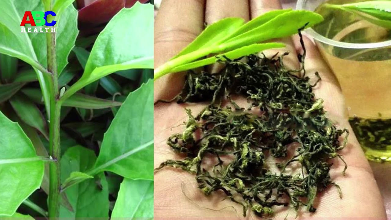 THIS HERBAL MEDICINE CAN CURE MANY HEALTH PROBLEMS! CURE DIABETES