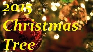 2015 Christmas Tree Chaos