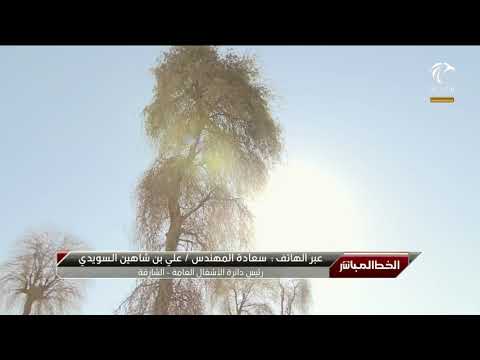 مداخلة سعادة علي بن شاهين السويدي في برنامج الخط المباشر 28 02 2021