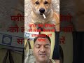 funny comedy❤️🥰 Sandeep Mishra masanpur#music #youtubeshorts #music #shortsvideo