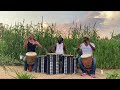 Djembe Drumming - Meendjaani