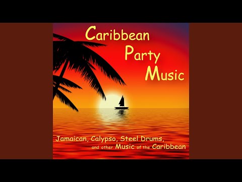 Steel Drum Pool Party 2