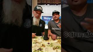 DR.DABBER SWITCH REVIEW STARRING SOUTHERNDABBER 420