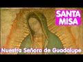 Santa Misa De Hoy 14 Diciembre 2020 Basílica de Guadalupe // Santísima Virgen de Guadalupe