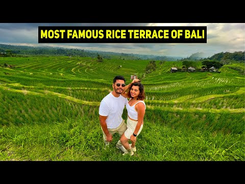 Jatiluwih Rice Terraces