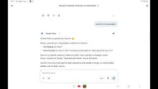 Gemini Ile Konuşmam